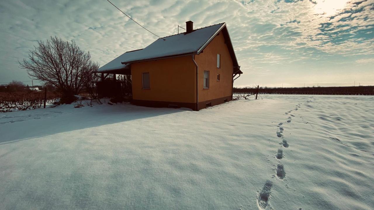 Holiday home Kuca Za Odmor Brzica Erdut